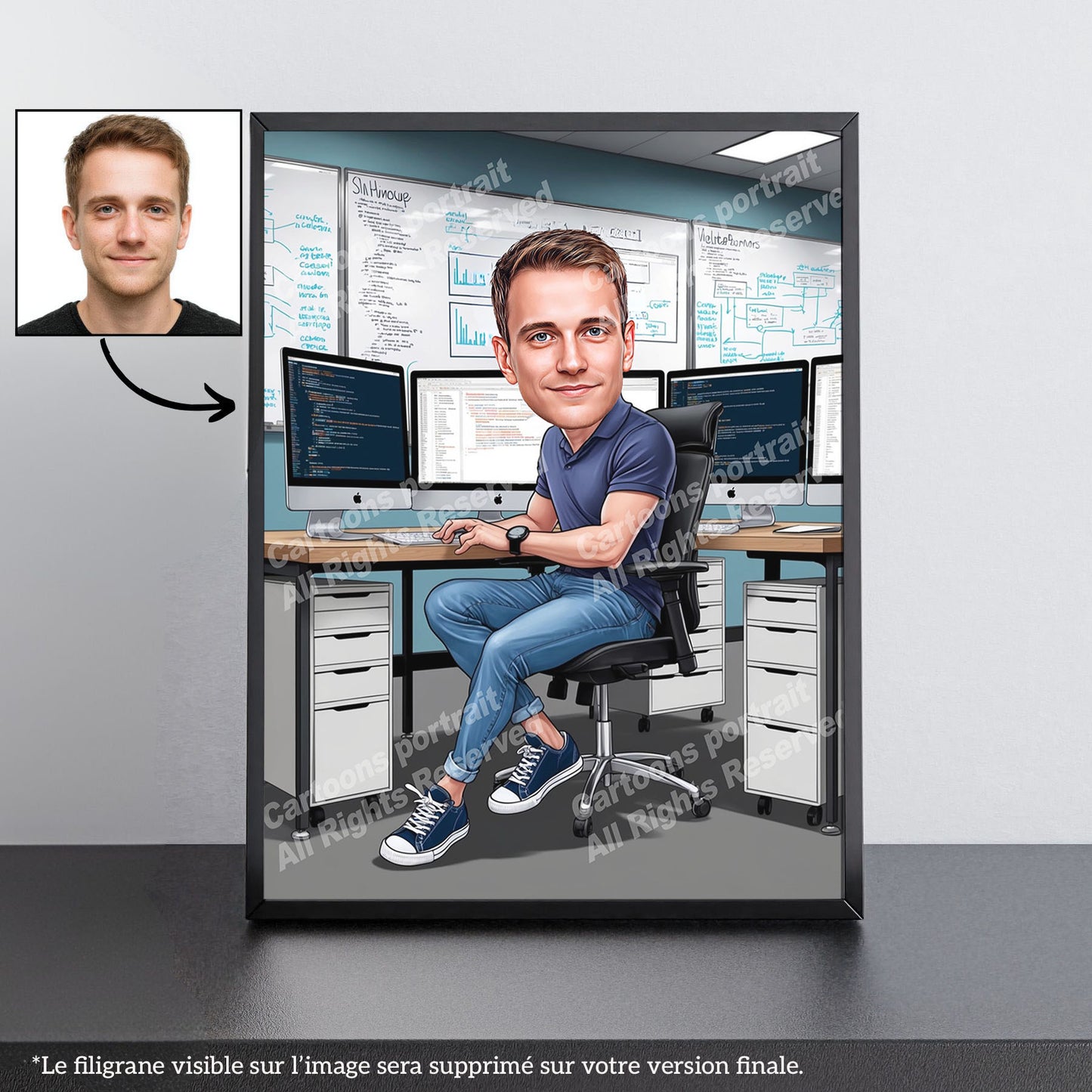 IT Specialist / Software Developer