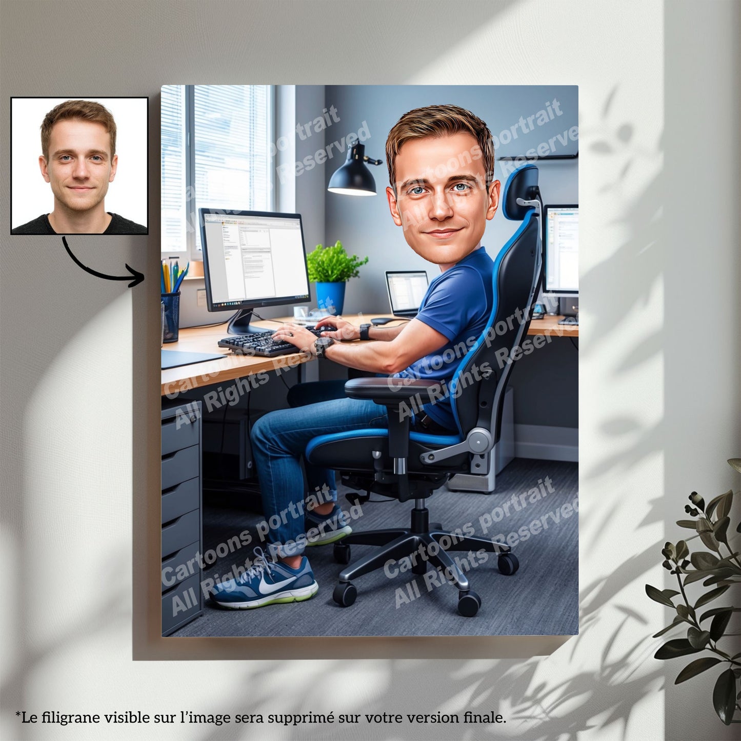 IT Specialist / Software Developer
