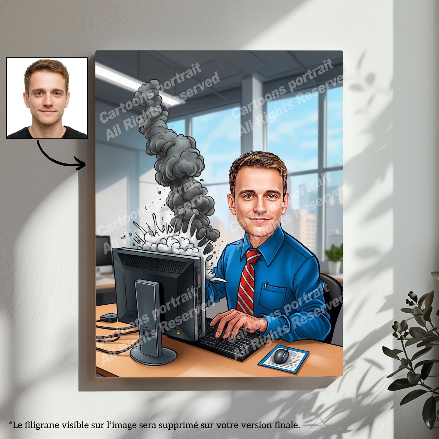 IT Specialist / Software Developer
