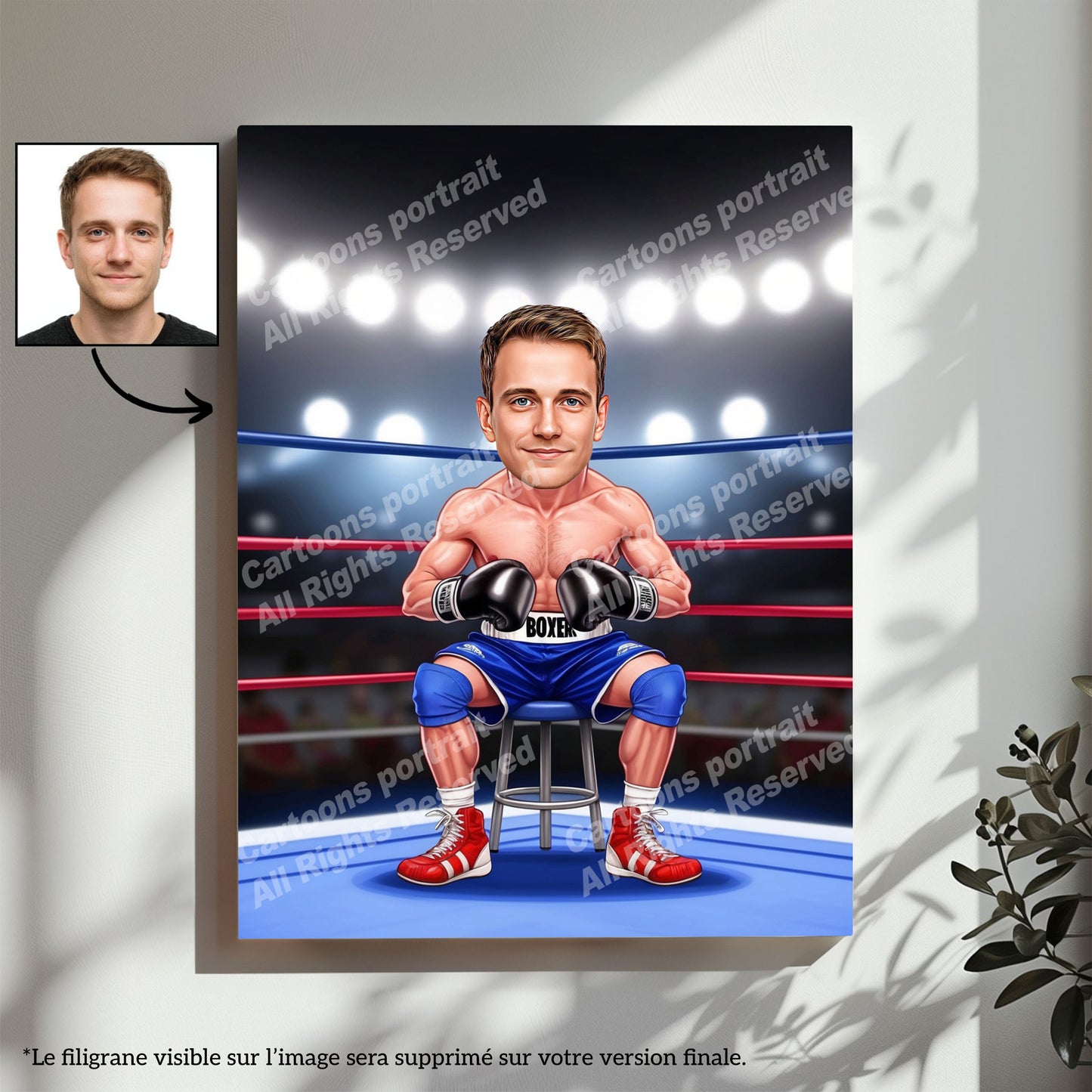 Boxer