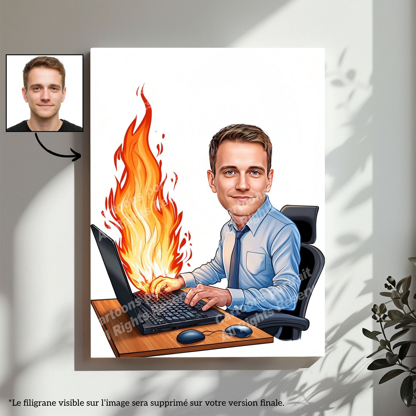 IT Specialist / Software Developer